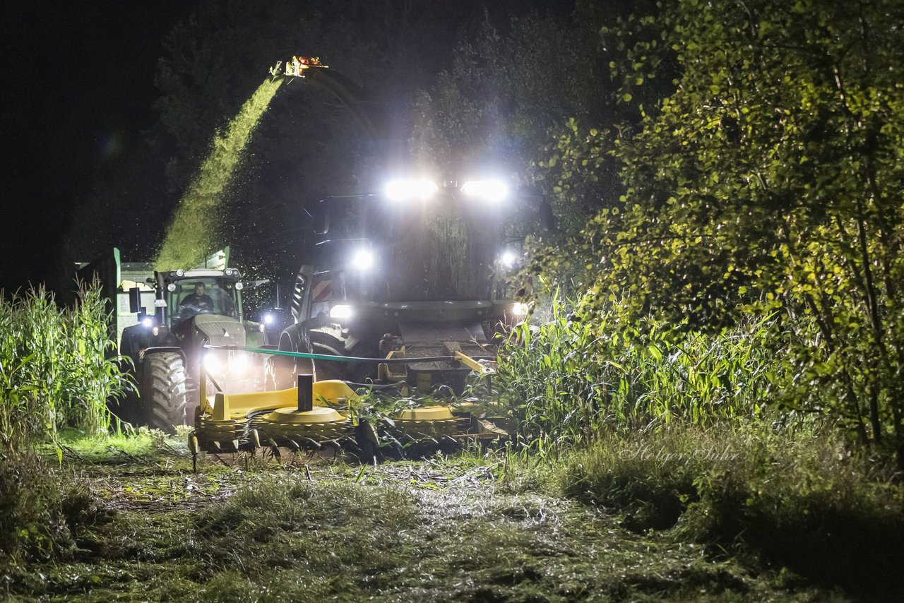 Bild 30 - Maisernte